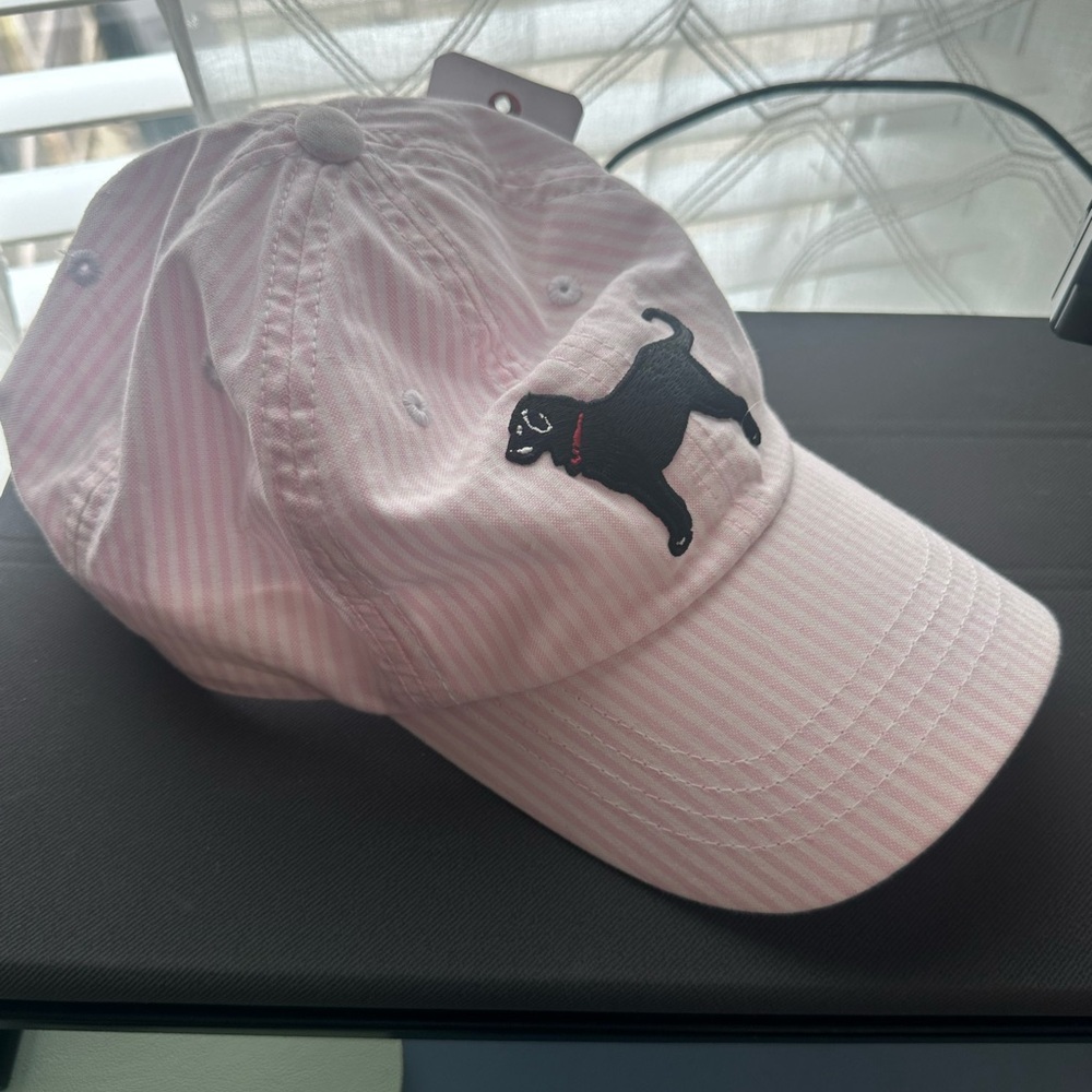 The Black Dog Pink Striped Cap